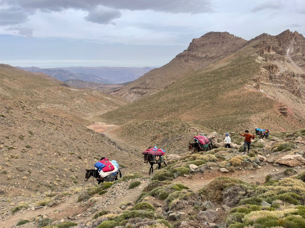 trekking Atlas Mountains