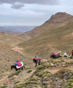 trekking Atlas Mountains