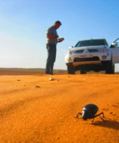 2 days Sahara desert tour