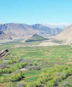 High Atlas and desert tour