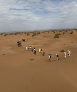 trekking in the Sahara