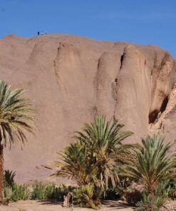 desert tour from Marrakech