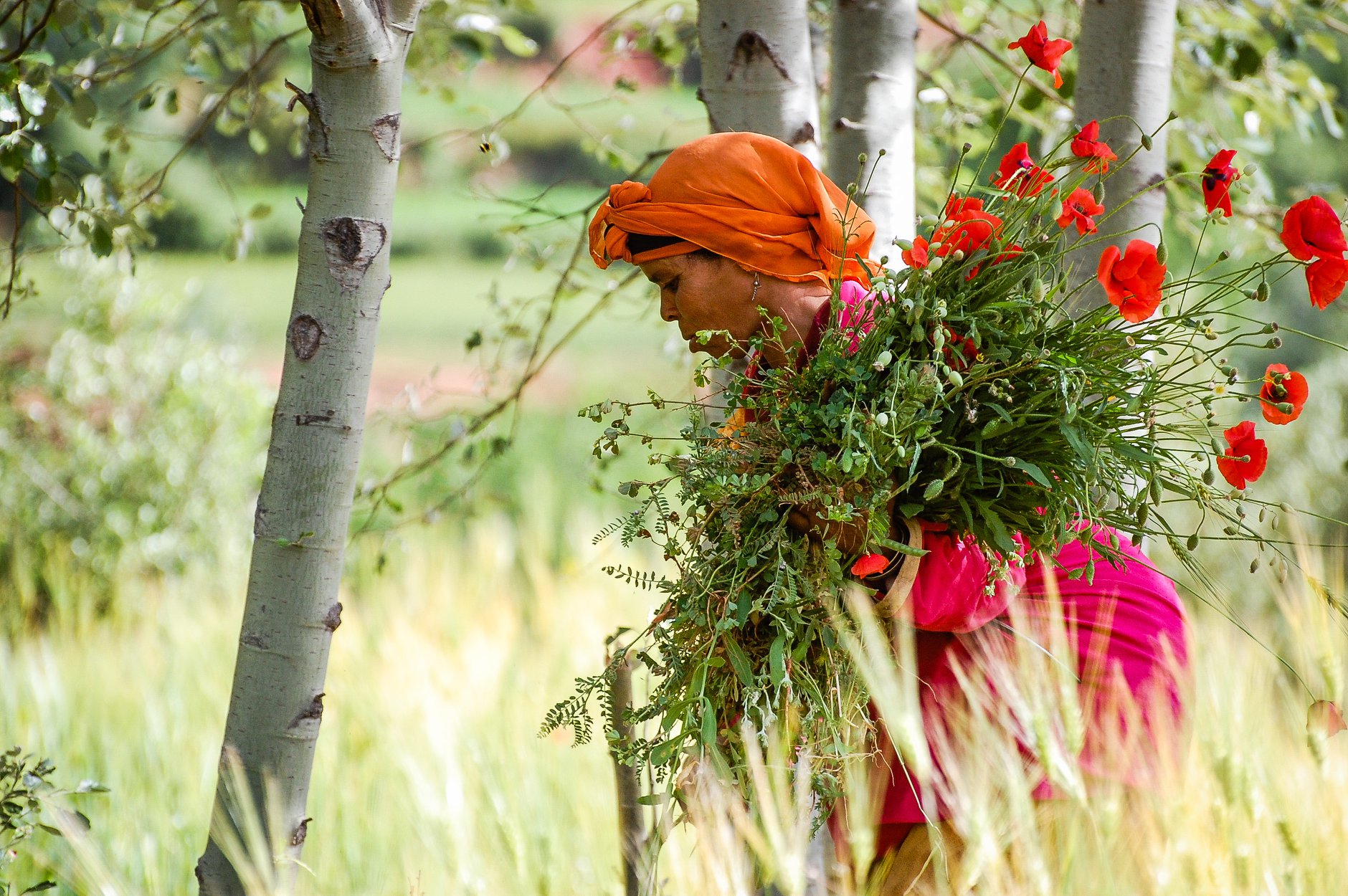 4 DAY DESERT TOUR FROM MARRAKECH