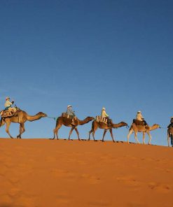 camel riding in Morocco