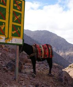 Toubkal trekking