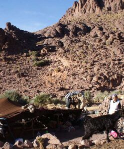 Morocco Nomads Travel