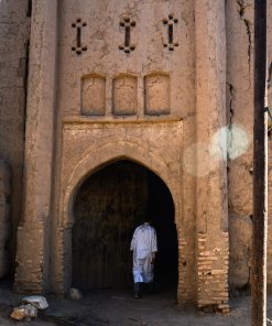 special interest tours