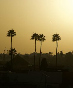 mARRAKECH GUIDED TOUR