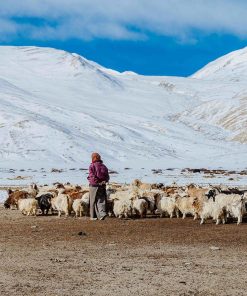 nomad homestay in Morocco