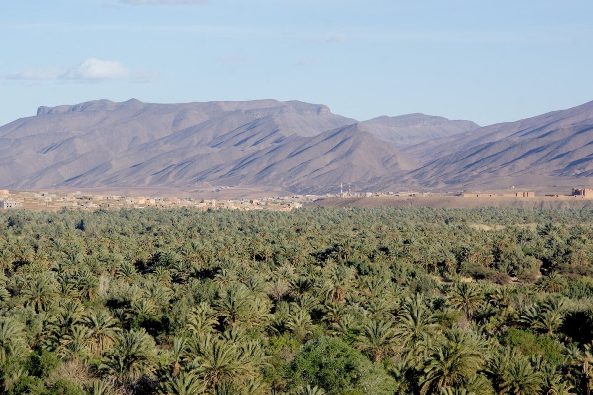 5 best Things to do around Zagora city