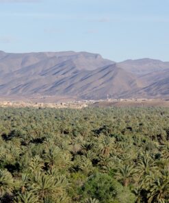 5 best Things to do around Zagora city