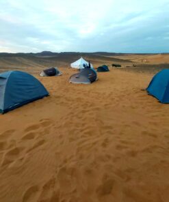 Desert camel trekking