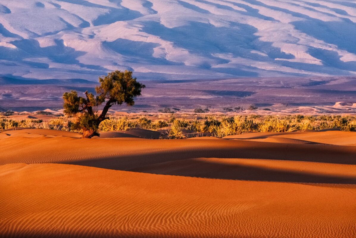 Erg Chigaga dunes