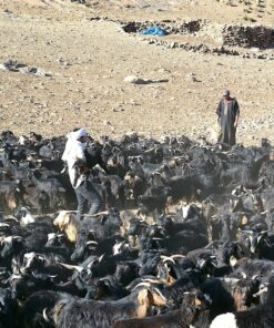 volunteer trip in Morocco