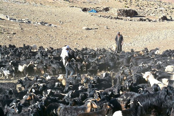 volunteer trip in Morocco