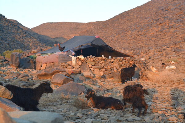 Morocco volunteer trip