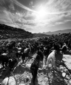 May Nomad Trek in Morocco