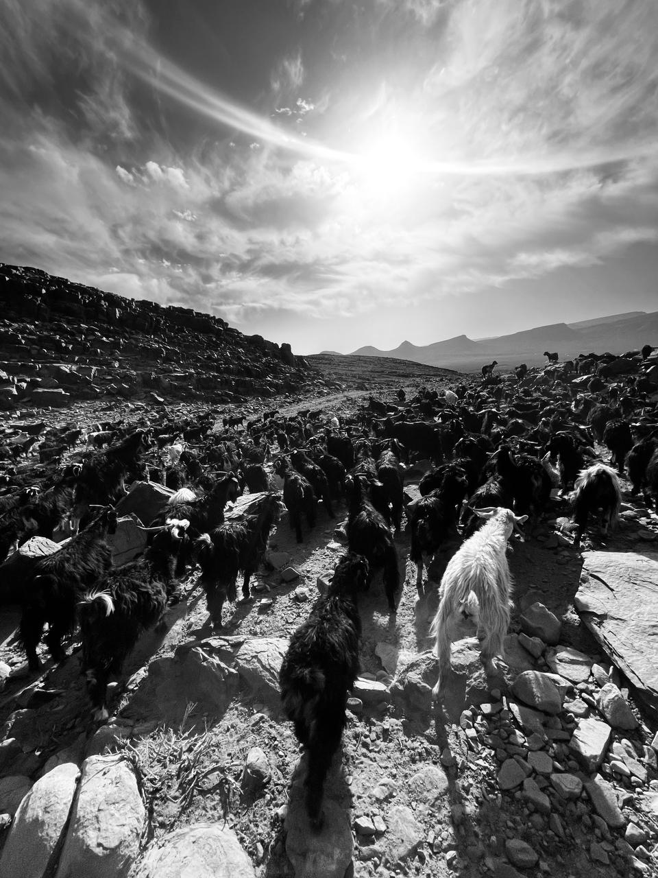 May Nomad Trek in Morocco