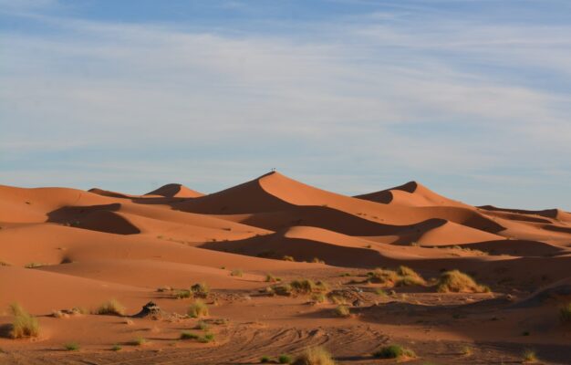 Moroccan Sahara