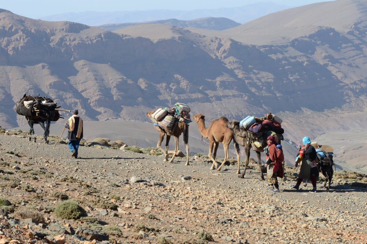 Walking with nomads