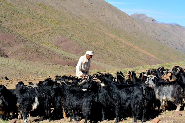 Homestay adventure in Morocco