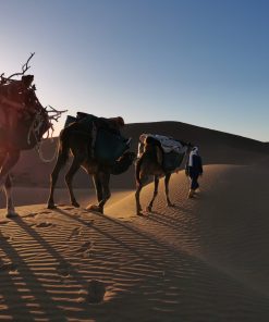 New year in Morocco