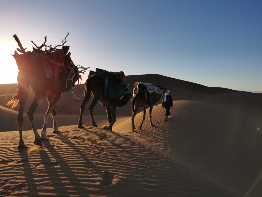 New year in Morocco