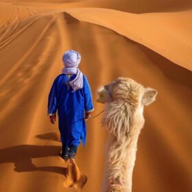 guided tours in Morocco
